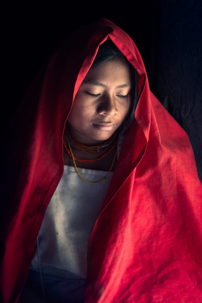 Mundo Nuevo Awindua, Minca Sierra Nevada De Santa Marta Colombia