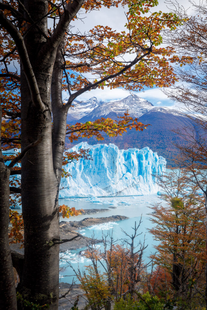 Perrito Moreno, Los Glaciares National Park Santa Cruz Patagonia Argentina