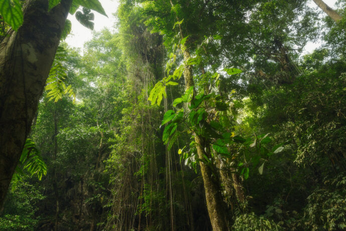 , rio-claro Antioquia colombia