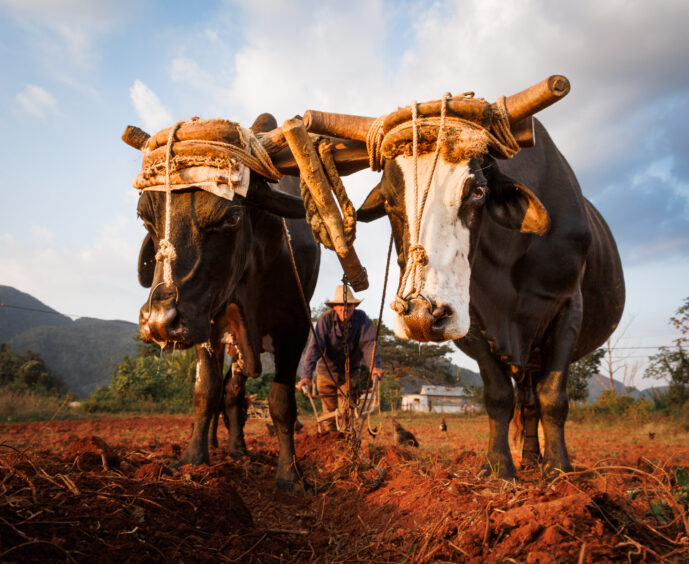 , Viñales Pinar del Rio Cuba