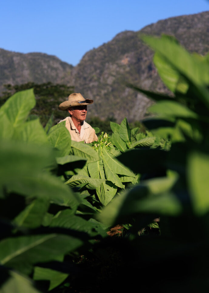 , Viñales Pinar Del Rio Cuba