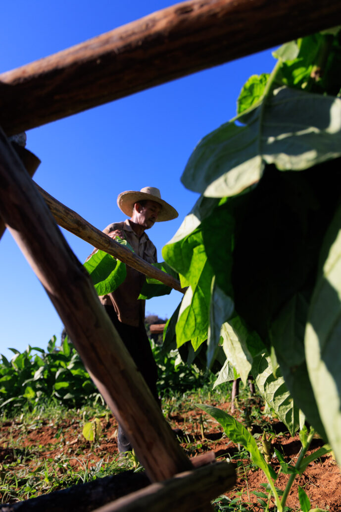 , Viñales Pinar Del Rio Cuba
