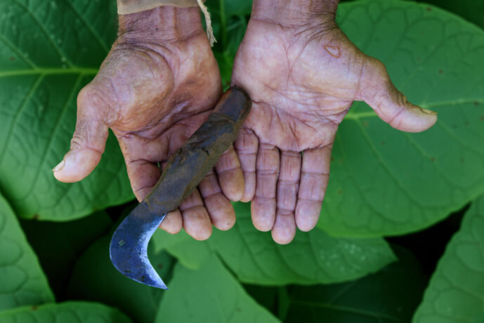 , Viñales Pinar Del Rio Cuba