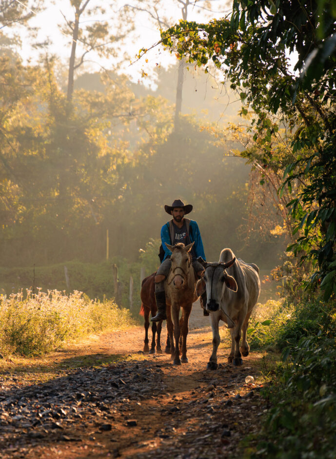 , Viñales Pinar Del Rio Cuba
