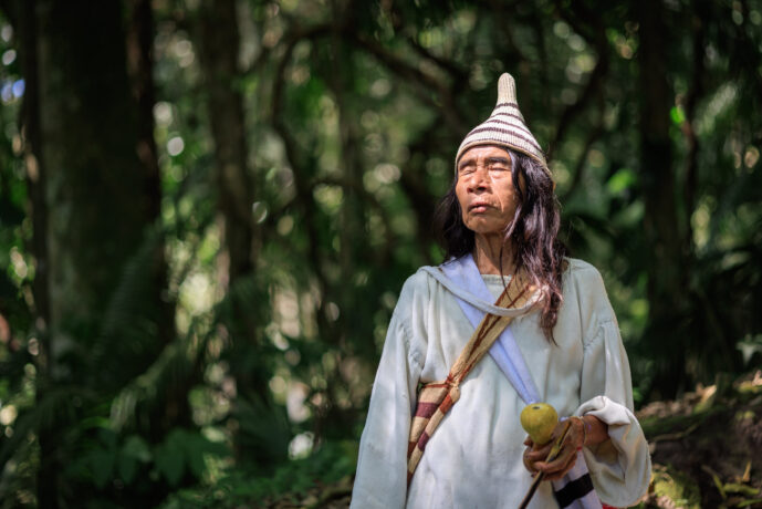 Mamarongo Magdalena Colombia