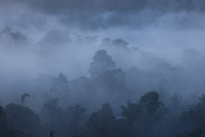 Mulkwakungui Magdalena Colombia