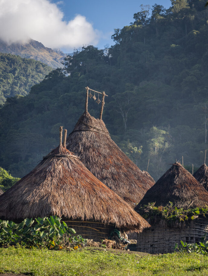 Satei Magdalena Colombia