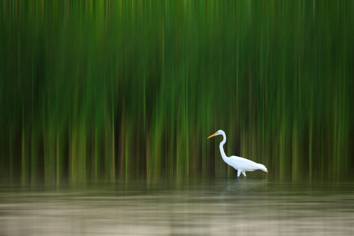 parque-tayrona-arrecifes Magdalena colombia