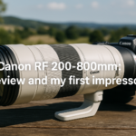 Canon RF 200-800mm : review and my first impressions