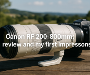 Canon RF 200-800mm : review and my first impressions