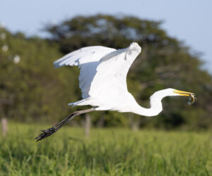 , Mompox Bolivar Colombia