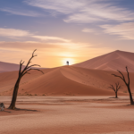 Namibia for Photographers : A Photography destination guide