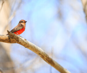 Nazareth, Parque Macuira Guajira colombia