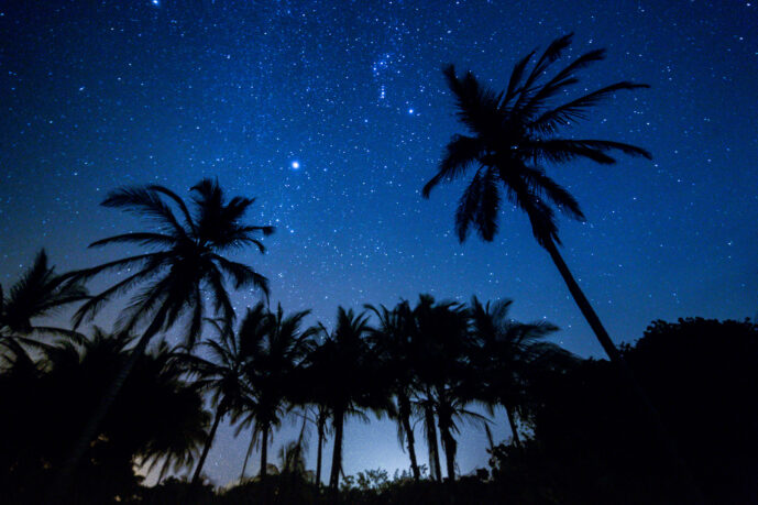 Palomino Guajira colombia
