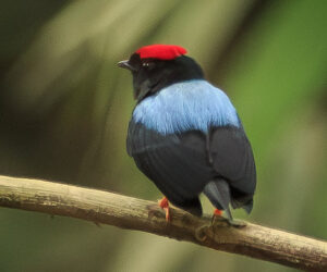 Parque Tayrona Magdalena Colombia