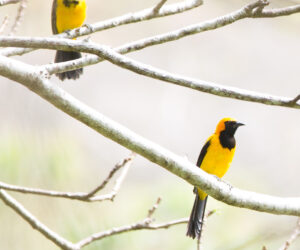 Pueblito, Parque Tayrona Magdalena colombia
