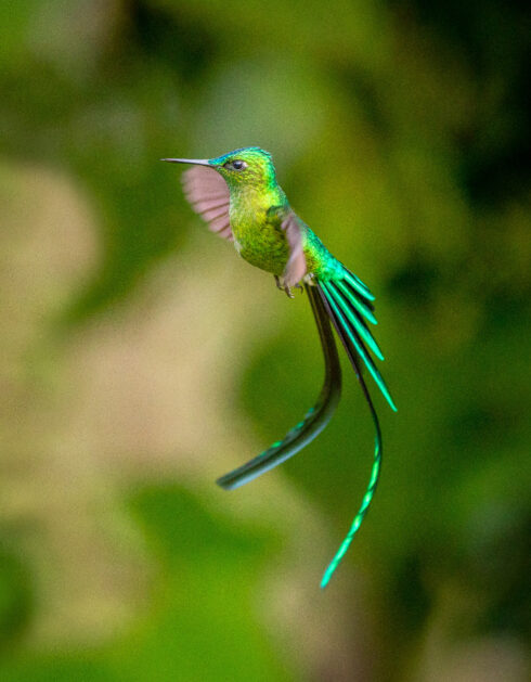 Cañon Del Combeima Tolima Colombia
