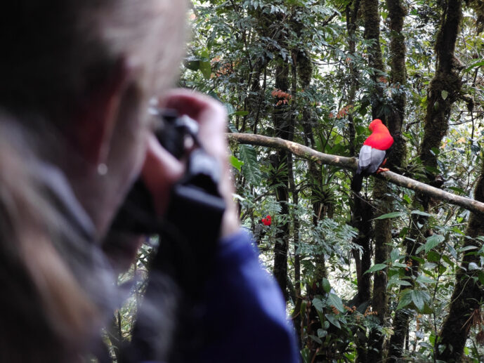 Km58 Valle Del Cauca Colombia
