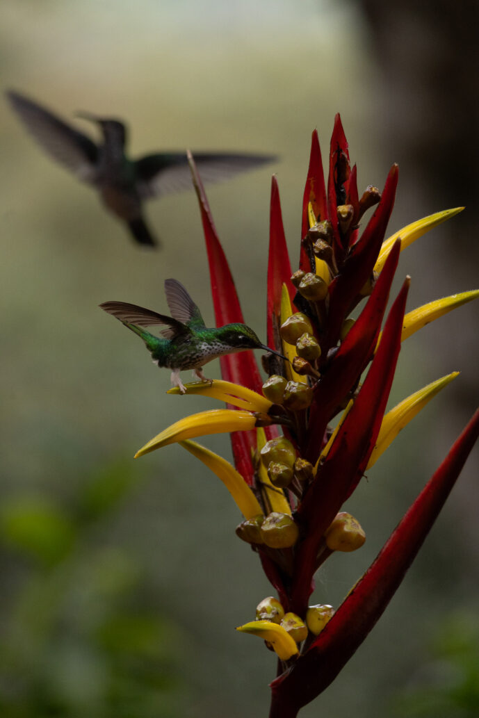 km18 Valle Del Cauca Colombia