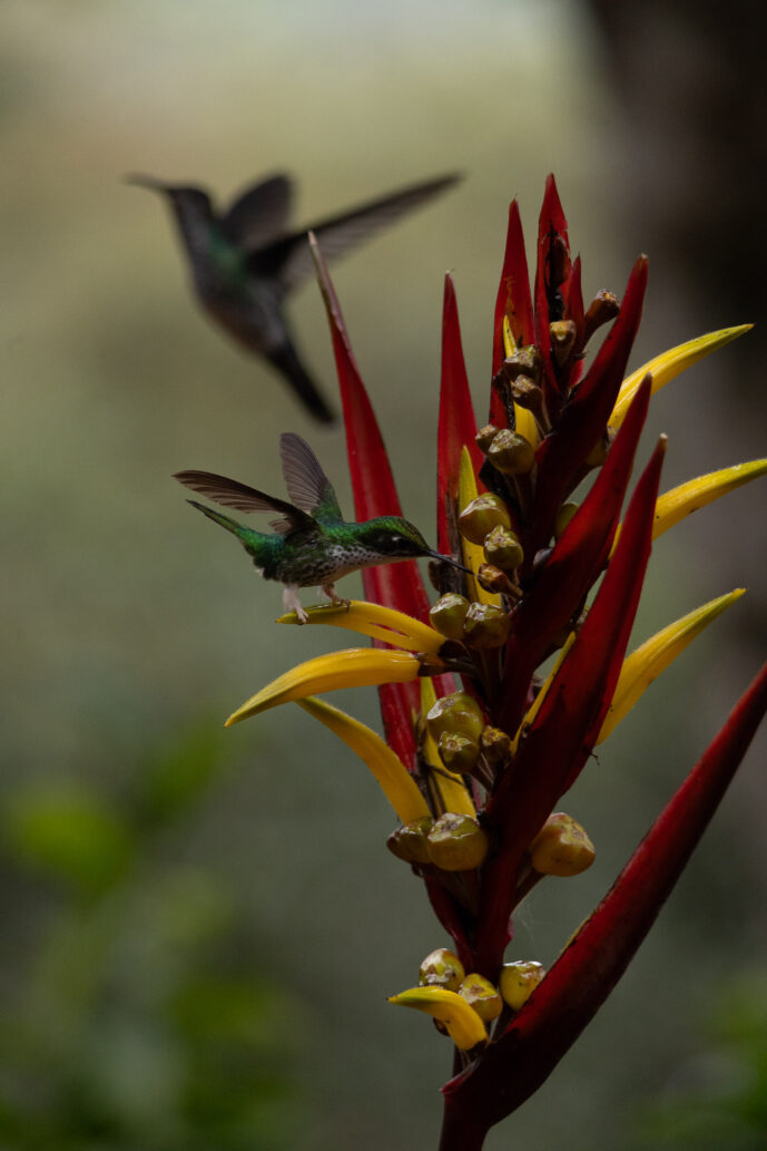 km18 Valle Del Cauca Colombia