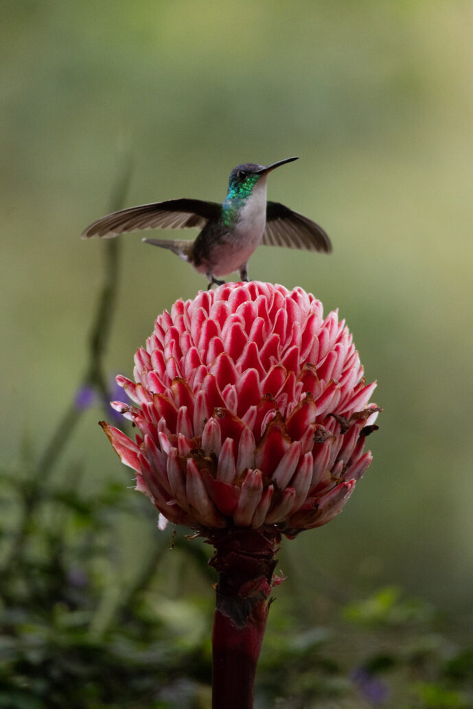 km18 Valle Del Cauca Colombia