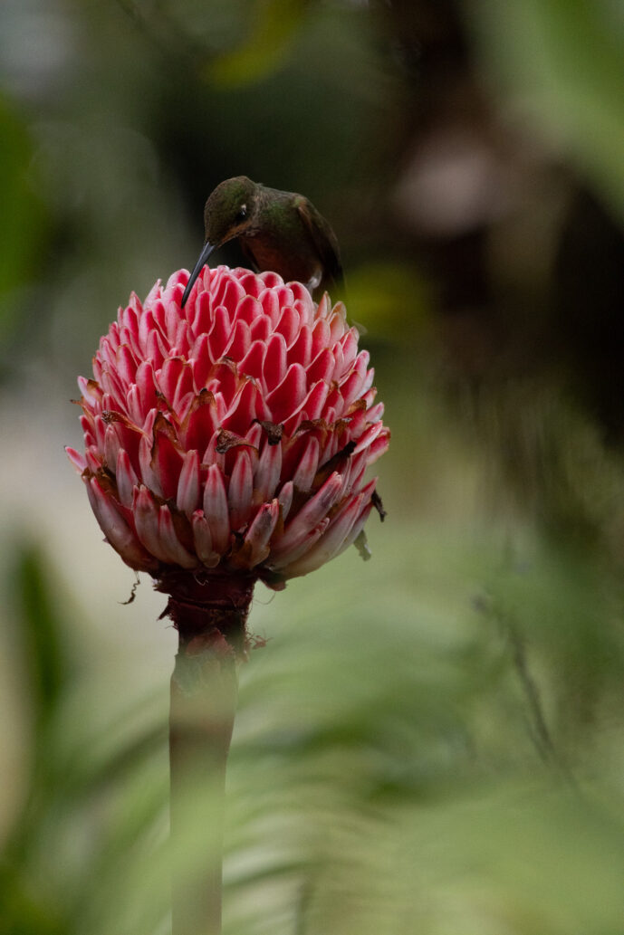 km18 Valle Del Cauca Colombia