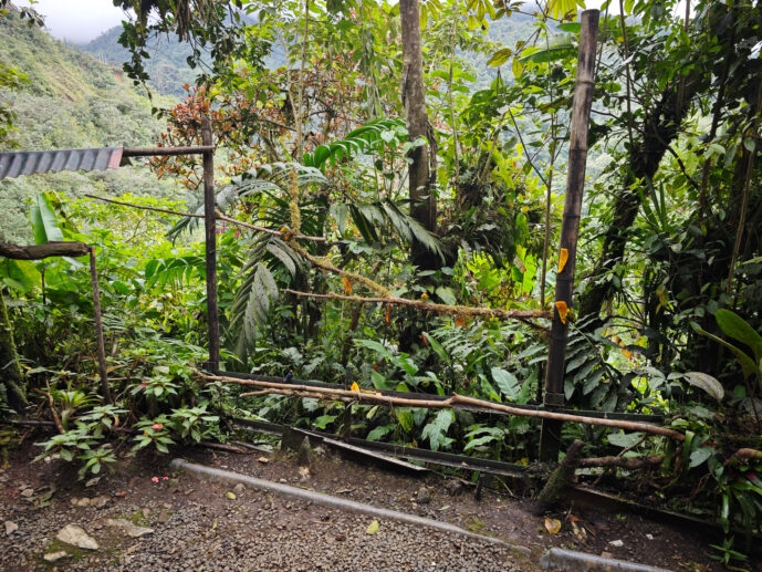 Km58 Valle Del Cauca Colombia