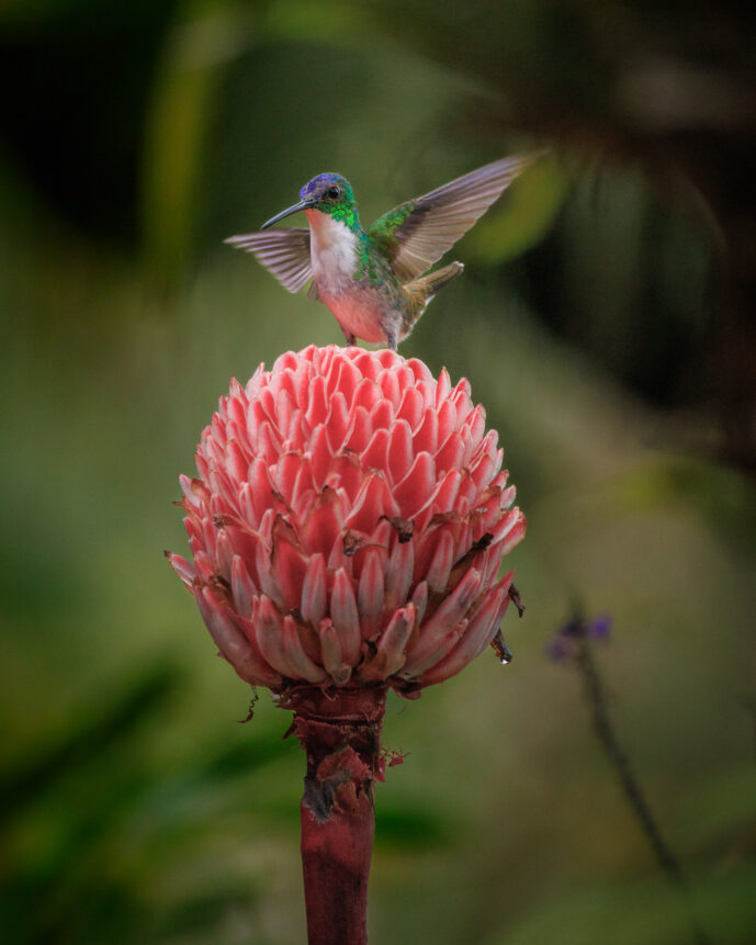 km18 Valle Del Cauca Colombia