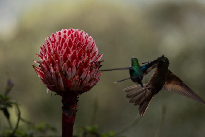 km18 Valle Del Cauca Colombia