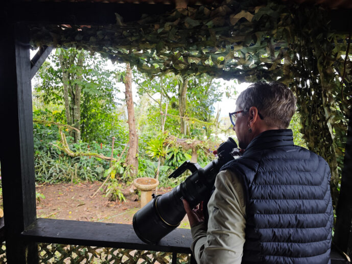  Valle Del Cauca Colombia