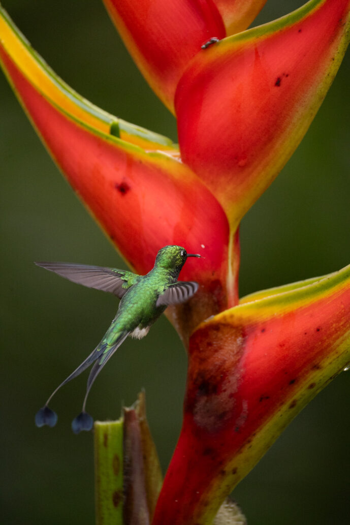 km18 Valle Del Cauca Colombia