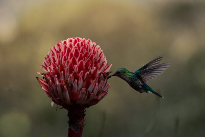 km18 Valle Del Cauca Colombia