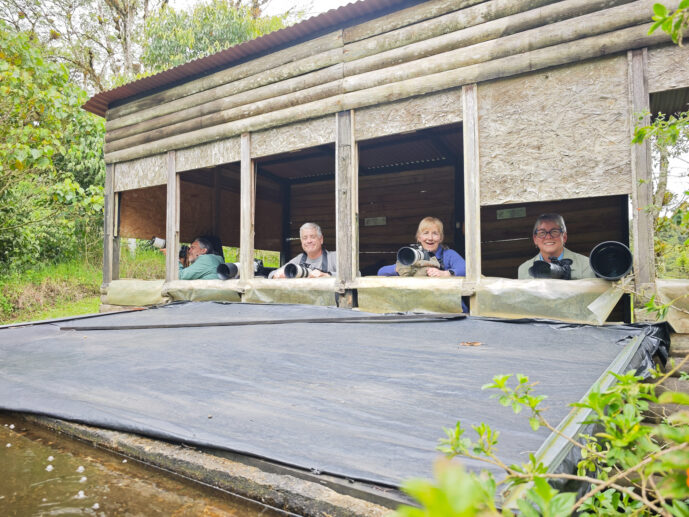  Valle Del Cauca Colombia