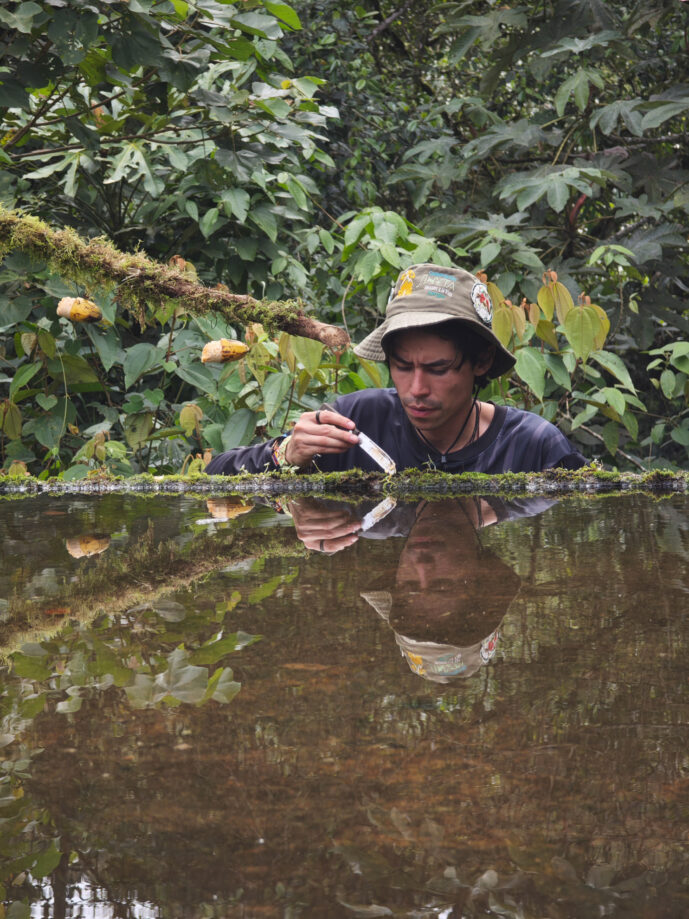  Valle Del Cauca Colombia