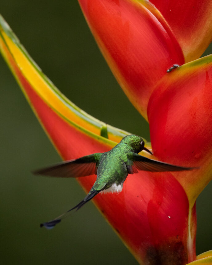 km18 Valle Del Cauca Colombia