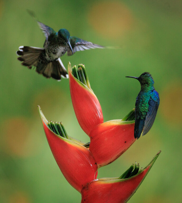 km18 Valle Del Cauca Colombia