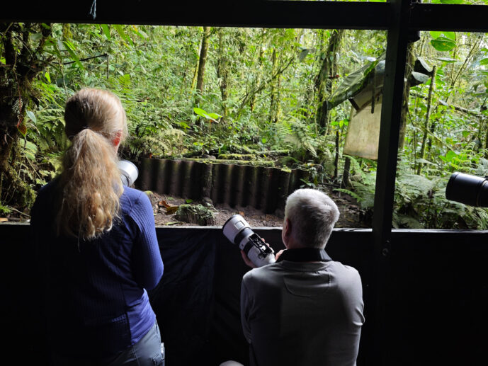  Valle Del Cauca Colombia