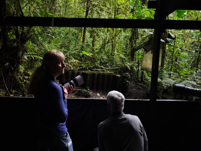  Valle Del Cauca Colombia