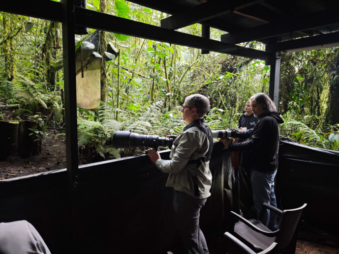  Valle Del Cauca Colombia