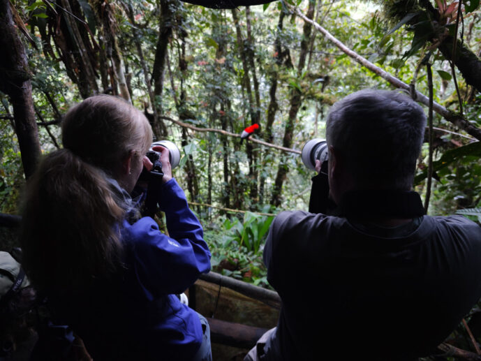 Km58 Valle Del Cauca Colombia