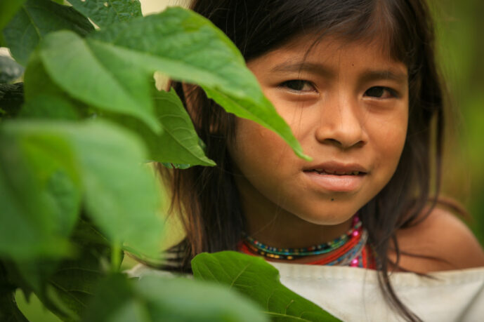 Minca Magdalena Colombia