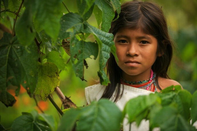 Minca Magdalena Colombia