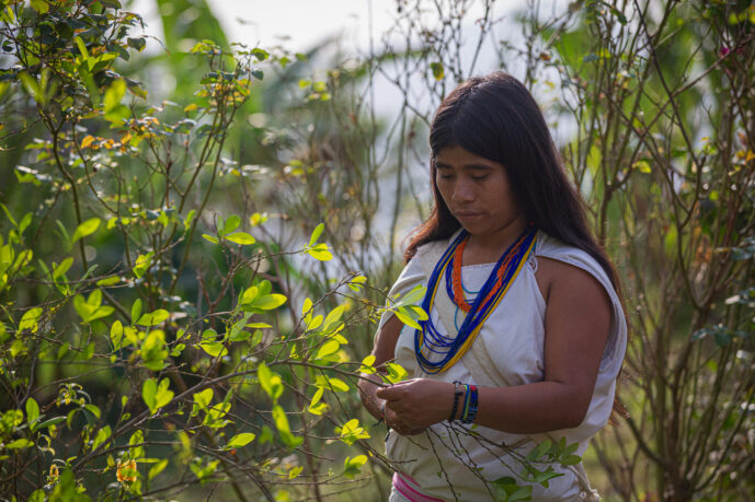 Minca Magdalena Colombia