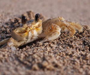 Tayrona Park Magdalena Colombia