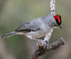 Boca de Camarones Guajira Colombia