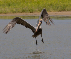 Boca de Camarones Guajira Colombia