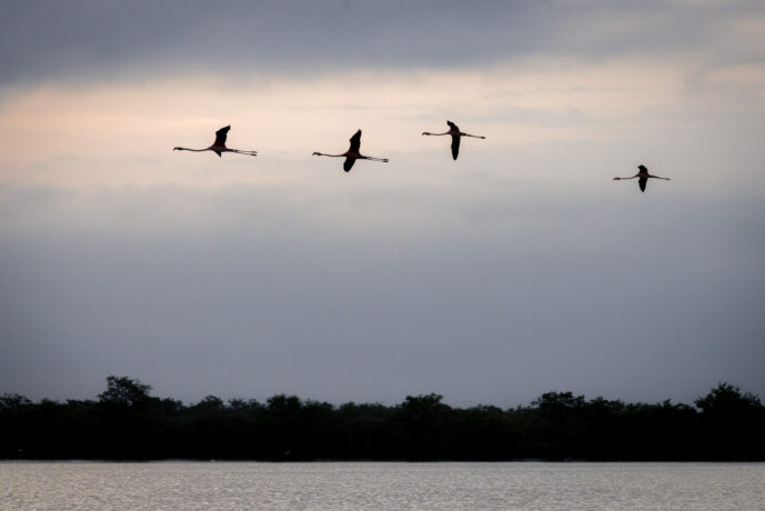 Boca de Camarones Guajira Colombia
