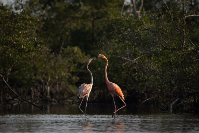 Boca de Camarones Guajira Colombia