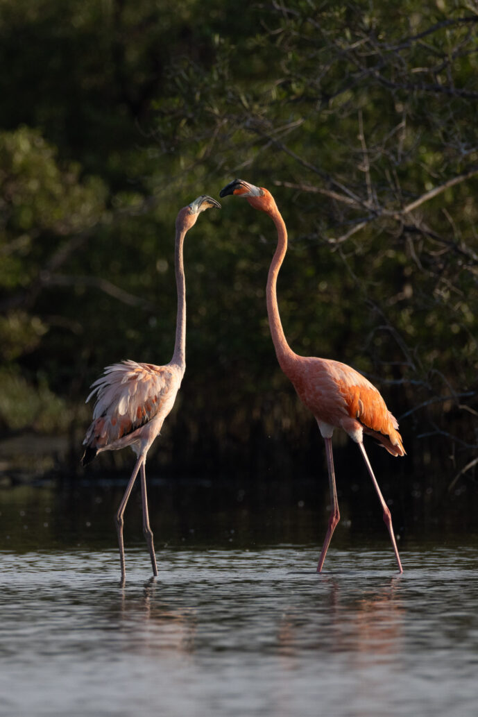 Boca de Camarones Guajira Colombia