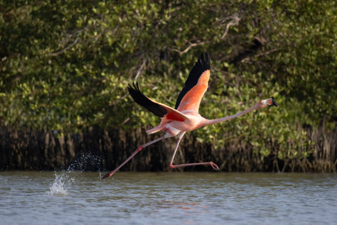 Boca de Camarones Guajira Colombia